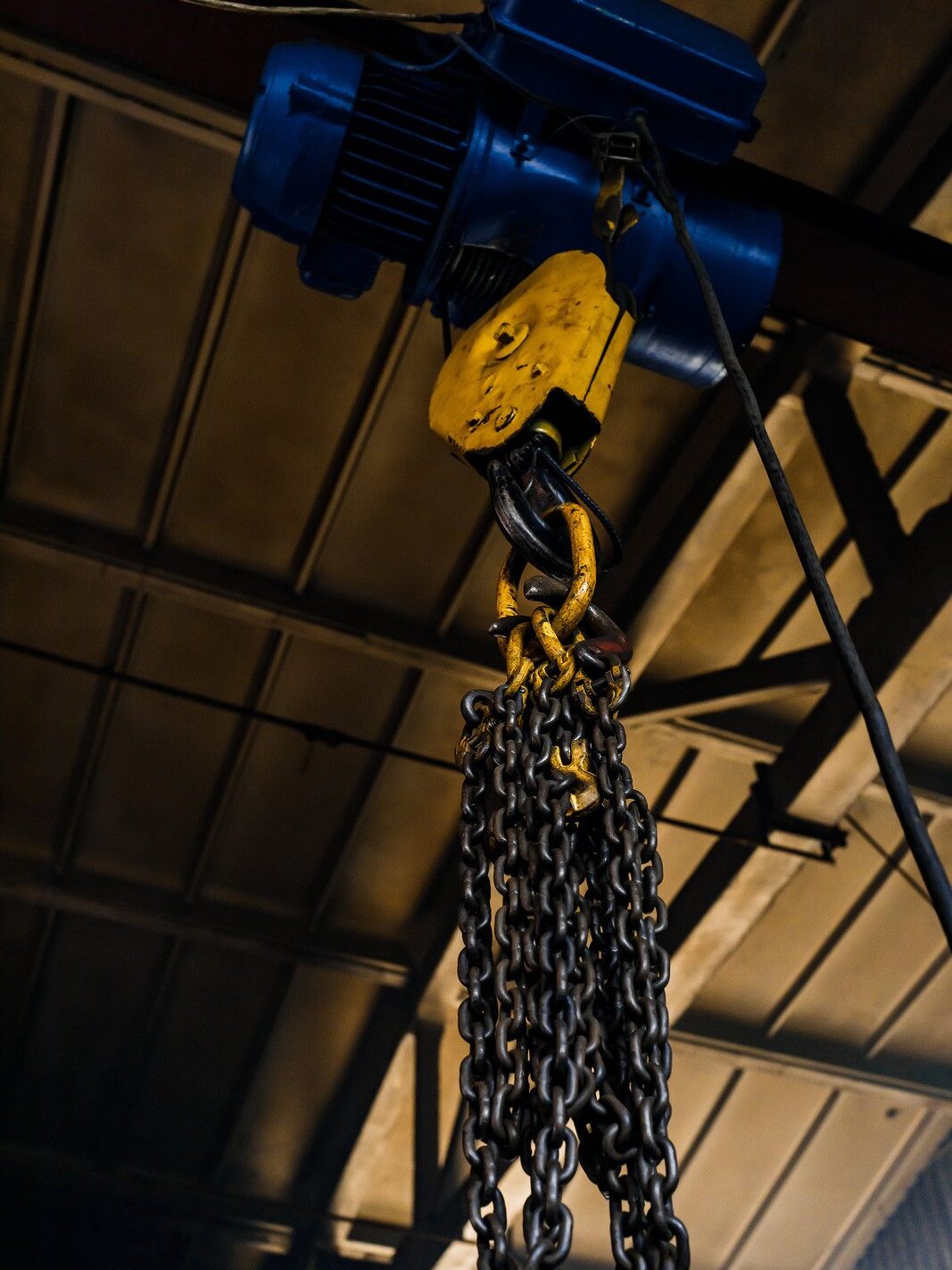 hoist and chain hoist