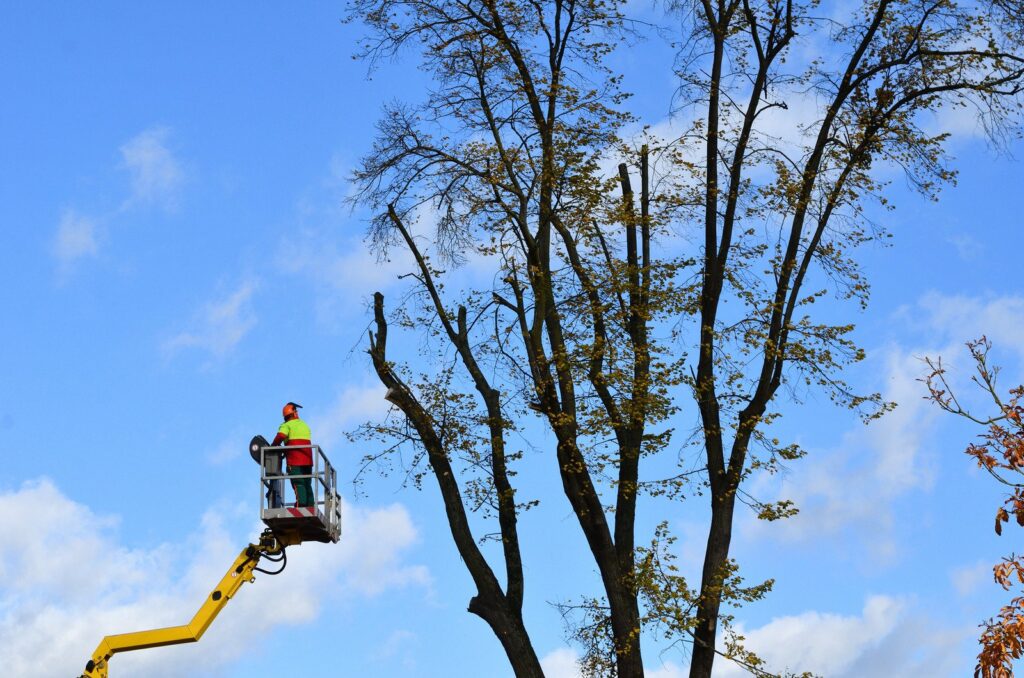 mast platform operator on the manoeuvring site